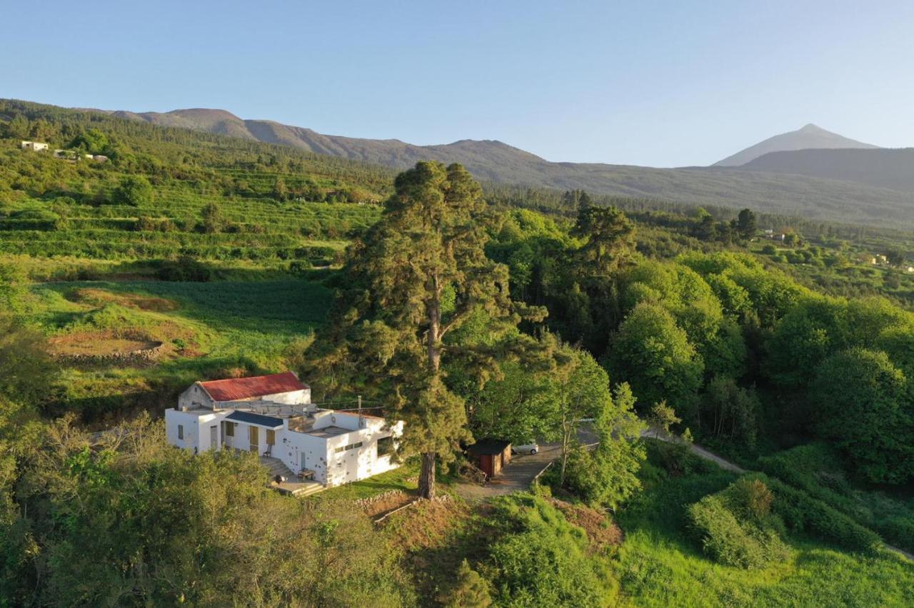 El Pino Centenario 8 La Orotava Luaran gambar